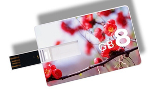 Quà Tặng Khuyến Mãi Biểu Tượng Tùy Chỉnh Kinh Doanh Thẻ Usb <span class=keywords><strong>Memory</strong></span> <span class=keywords><strong>Stick</strong></span> 128 <span class=keywords><strong>MB</strong></span> 256MB 512MB 128GB 64GB 32GB 8GB 16GB 1GB 2Gbusb Đĩa - Product Image 3