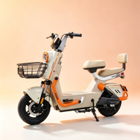 Vélo électrique à 2 roues personnalisé OEM, vélo électrique de ville à double siège avec panier pour les trajets familiaux, vente en gros