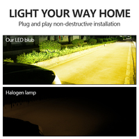 Bohlam Lampu Depan LED Kaidengzhe H7 Lurus 1:1 Mini Plug-Play 12V 30W 3000K Cahaya Emas Pengganti Lampu Depan LED untuk Mobil