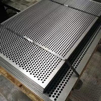 Grilles métalliques perforées sur mesure, grilles de tamisage pour gravier, grilles à mailles circulaires et grilles en acier pour l'exploitation minière, toutes peuvent être coupées et pliées