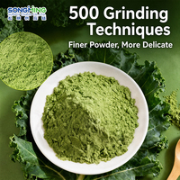 Poudre de chou frisé probiotique, riche en fibres, pour jus vert, repas léger, substitut de repas, 20 sachets