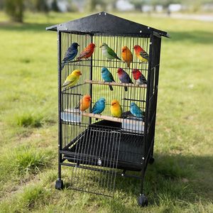Meilleur Prix Nouvelle Arrivée <span class=keywords><strong>Cage</strong></span> de Transport pour Perroquet en Fer Fin, Suspendable, Direct Usine - Product Image 6