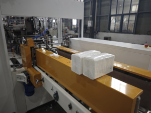 Macchina per Confezionamento Tridimensionale di Fazzoletti Morbidi Completamente Automatica Xinyun, Motore con Riduttore, 100-150 Pacchetti/Min, 380V 50Hz, Certificazione CE - Product Image 2