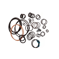 Kit de joints hydrauliques H2O Jet 302005-1 302005-2 B-1163-1 20458803 20458800 A-80-0045 Pièces de rechange pour jet d'eau