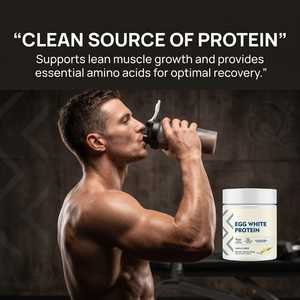 Vanwin : Poudre de protéines <span class=keywords><strong>en</strong></span> promotion avec enzymes digestives – Supplément protéiné à haute teneur <span class=keywords><strong>en</strong></span> albumine <span class=keywords><strong>d</strong></span>'œuf - Product Image 3