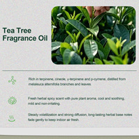 Huile parfumée à l'arbre à thé pour hôtel, huile parfumée aux herbes purifiante pour la chambre des clients de l'hôtel, le hall, le SPA, la machine diffuseur