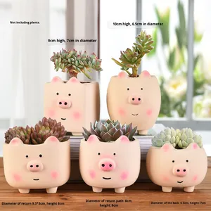 Chậu cây mọng nước gốm sứ tráng men hiện đại, thiết kế động vật dễ thương sáng tạo dành cho trẻ mẫu giáo, chậu hoa nhỏ & chậu cây - Product Image 4