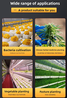 Serre de culture verticale hydroponique automatique Seedafarm à commande PLC, avec pompe, pour l'agriculture en conteneur de 40 pieds