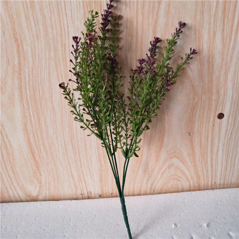 5 forked snapdragon coffee green