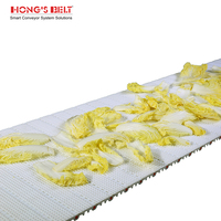 Hongsbelt HS-100AN Plastic Modulaire Band voor Transportband
