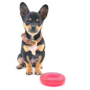 <span class=keywords><strong>Jouet</strong></span> pour <span class=keywords><strong>chien</strong></span> en caoutchouc naturel <span class=keywords><strong>ultra</strong></span> durable en forme de carotte, <span class=keywords><strong>résistant</strong></span> aux morsures, bâton à mâcher pour mâcheurs agressifs, <span class=keywords><strong>jouet</strong></span> sonore pour animaux de compagnie - Product Image 2