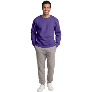 High Quality 100% Cotton Winter Men's Crew Neck <b>Vintage</b> <b>French</b> Terry Pullover Quick Dry Breathable Sweatshirt Hoodie - Product Image 1