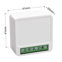 Interrupteur intelligent Wi-Fi 10A 16A 1 Gang 1 Voie 2 Gang 2 Voies, personnalisable OEM ODM DIY, compatible Tuya, Google Alexa, avec minuterie et relais de contrôle à distance