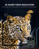 Caméra de chasse 4G à haute sensibilité, détection de mouvement, vision nocturne, 24MP CMOS, GPS, localisation en temps réel, application, stockage cloud SD, IP66