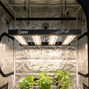 High Quality Durable Samsung 301h Evo Greenhouse Full Spectrum 120w <b>Light</b> Led Commercial Grow <b>Light</b> - Product Image 1