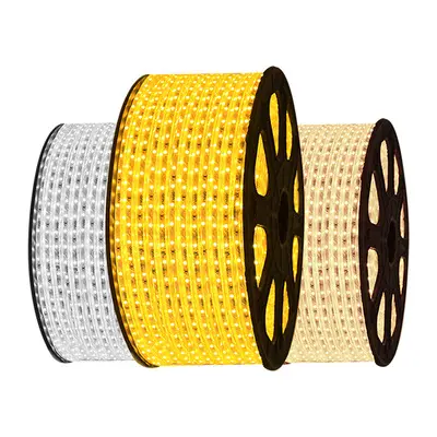 50M 100M Roll Single, Double, Triple Row LED Strip Light 60LEDs 120LEDs 180LEDs Ribbon Tapes Lamp 110V 220V LED Strip Light