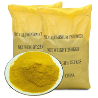 Alibaba Gold-Lieferant 30% Polyaluminiumchlorid PAC für Papierfabriken
