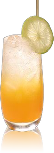 Lành Mạnh Nước Giải Khát <span class=keywords><strong>Syrup</strong></span> Tangerine Hương Vị Trái Cây Cô Đặc Xi Lanh Cho Đồ Uống Và Ẩm Thực - Product Image 3