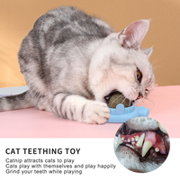 Jouet boule de menthe pour chat à coller au mur, vente en gros d'usine, pour léchage par les chats