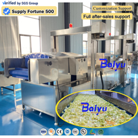Baiyu Automatische Broccoli Blancheringsmachine voor diepvriesgroenteproductielijn met hoge efficiëntie verwerking