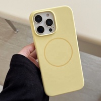 Coques de téléphone en silicone à bas prix pour iPhone 17 16 Pro Max 15 Pro 14 13 12, avec revêtement magnétique en silicone
