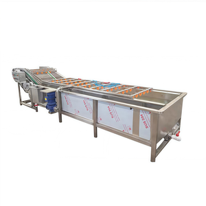 Machine à laver les fruits portable pour le traitement des usines de broyage Fabricant d'équipement d'huile d'avocat Vente directe - Product Image 1