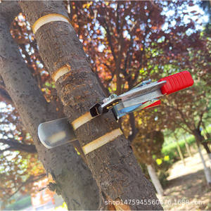 Pince à écorcher Swift Legs Medium Ring Barking Pliers avec lame en acier et poignée antidérapante pour l'écorçage des arbres fruitiers - Product Image 4