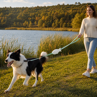 Laisse rétractable automatique personnalisée pour animaux de compagnie, nylon PP ABS, 150 kg, réfléchissante de nuit, durable, pour la promenade et l'entraînement des chiens en extérieur