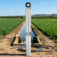 Bomba de Agua Sumergible de Alta Presión, Trifásica, de Acero Inoxidable, Multietapa, 0.75 HP, Salida de 1 1/4, para Riego, 1.2M