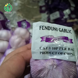 <span class=keywords><strong>Ajo</strong></span> Fresco de China, <span class=keywords><strong>Precio</strong></span> al por Mayor de Caja de 10 kg, Bolsa de 200 g, Proveedor de <span class=keywords><strong>Ajo</strong></span> <span class=keywords><strong>Elefante</strong></span> - Product Image 4