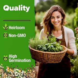 Kit de sachets d'herbes aromatiques Vault Heirloom Non-OGM pour jardin intérieur/extérieur, assortiment varié : <span class=keywords><strong>basilic</strong></span>, coriandre, persil, <span class=keywords><strong>ciboulette</strong></span> - Product Image 2