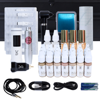 YD maquillage permanent Micropigmentation cicatrice Camouflage tatouage peau Camouflage vergetures Kit d'encres dissimulées