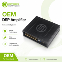 Amplificateur de voiture DSP classe D 10 canaux OEM personnalisé DS M10 Plus 825W avec boîtier et emballage sur mesure
