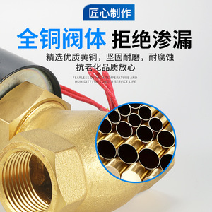 Vanne solénoïde à vapeur en cuivre NGS DN50 AC 220V normalement fermée, type pilote, vanne de régulation - Product Image 2