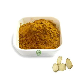 Chinese factory supply Alisma Extract 15:1 Natural Alisma Powder