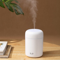 OEM Dropshipping 300ml humidificateur d'air portable Mini humidificateur d'air USB à ultrasons pour la maison hôtel voiture école