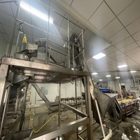 Máquina Freidora de Papas Fritas Onduladas de Alta Gama Estándar Europeo, Línea de Producción para Capacidad de 50 kg/100 kg/200 kg/300 kg/500 kg/800 kg
