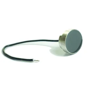 ISSR 1MHz PZT Piezoelectric Piezo Ceramic Transducer Disk 45mm 1 MHz Ultrasonic Transducer