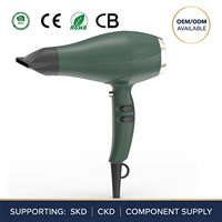 Sèche-cheveux professionnel NB WIDE Salon Ionic AC Motor 2600W à grande vitesse avec diffuseur et concentrateur pour cheveux bouclés et usage hôtelier