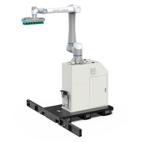 Robot Kolaboratif Enam Sumbu 220V Berkapasitas Tinggi untuk Peralatan Palletizing Industri, Robot Palletizer Penumpuk Karton