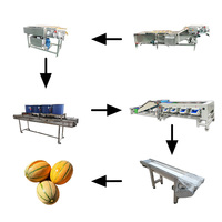 Industriële automatische fruit- en groente sorteermachine watermeloenverwerkingsinstallatie 1 jaar garantie