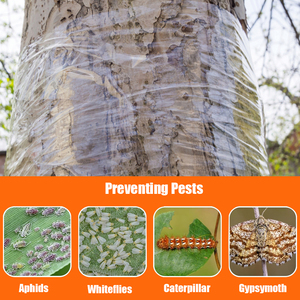 Ruban <span class=keywords><strong>anti</strong></span>-insectes auto-adhésif EONBON pour arbres et jardins, piège à insectes collant pour arbres - Product Image 5