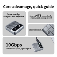 ITGZ M.2 2330 NVMe SSD Enclosure 10Gbps USB-C Proteksi Tulis Sentuh OEM ODM Pabrik Kustom JMS583