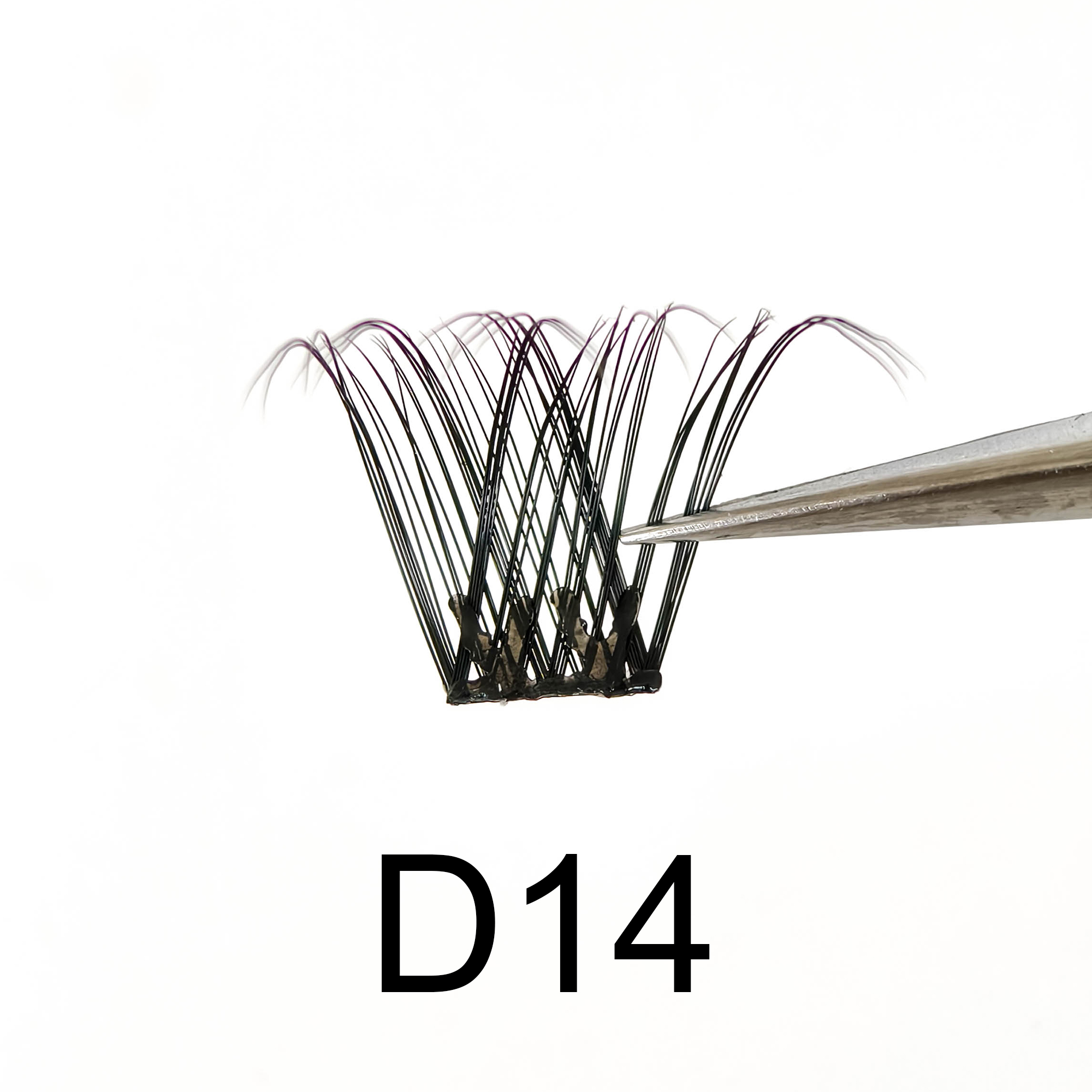 D14