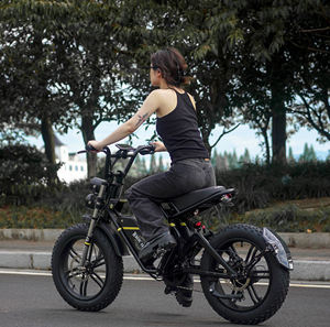 Vélo électrique tout-terrain à pneus larges de 20 pouces pour suspension double, moteur sans balais de 500 W, cadre en aluminium au lithium, frein à disque hydraulique - Product Image 2