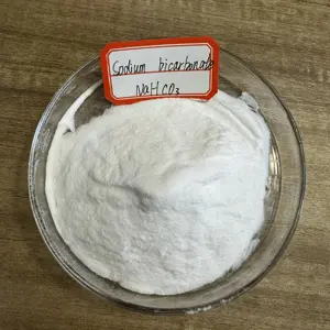 Cas 144-55-8 soda kue bubuk agen daun kualitas makanan sodium bicarbonat