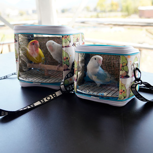 Mochila de Viaje para Aves Pequeñas, de un Solo Hombro, Ligera, Portátil, Transparente y Transpirable, para Loros y <span class=keywords><strong>Palomas</strong></span> - Product Image 3
