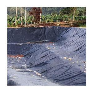 Vente d'usine de géomembrane standard CE Feuille de géomembrane PE-HD Grands étangs à poissons en plastique Réservoir agricole - Product Image 5