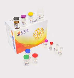 Facteur de <span class=keywords><strong>nécrose</strong></span> <span class=keywords><strong>tumorale</strong></span> humaine E0082Hu Alpha, KIT TNFA ELISA - Product Image 4