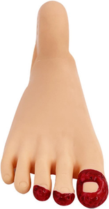 Model pengajaran gigi kaki demonstrasi infeksi kaki manusia perubahan ologis perawatan Jordan Model pengajaran kaki - Product Image 2